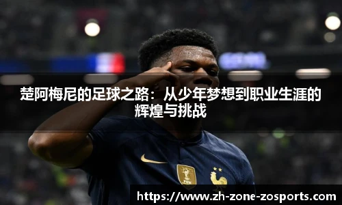 中欧体育