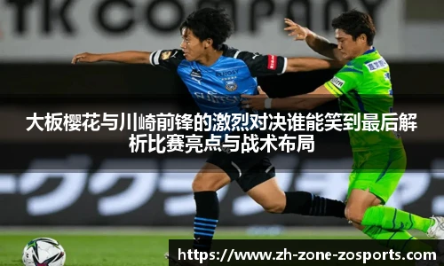 中欧体育
